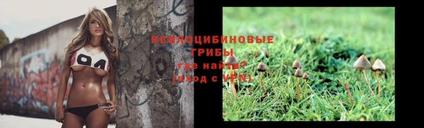 индика Алзамай