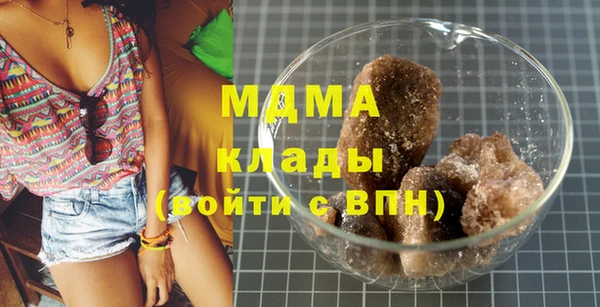 индика Алзамай