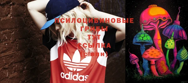 индика Алзамай
