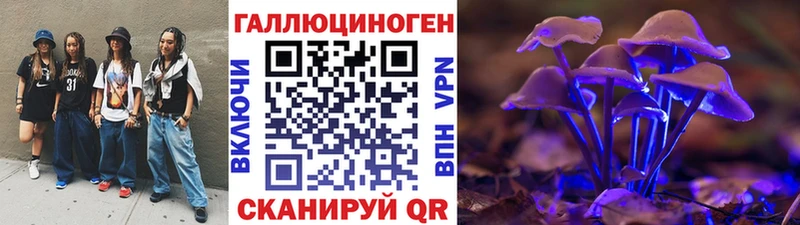 закладка  Джанкой  Псилоцибиновые грибы Psilocybine cubensis 